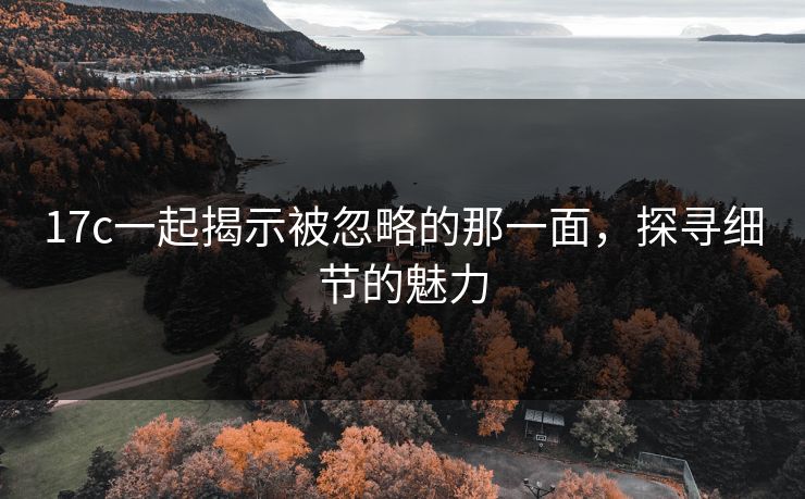17c一起揭示被忽略的那一面，探寻细节的魅力