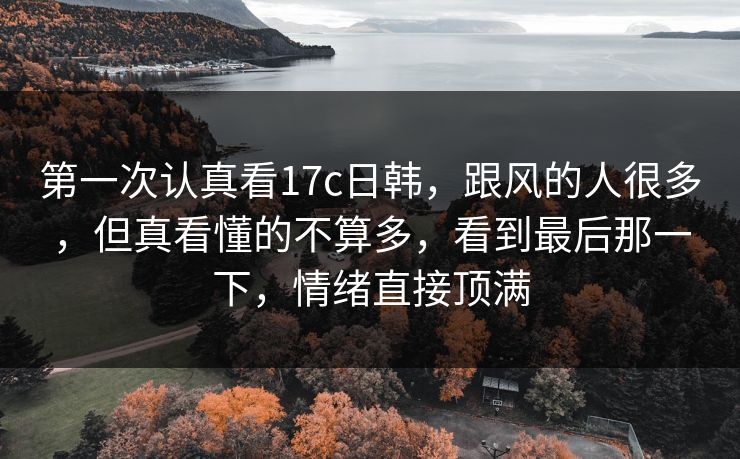 第一次认真看17c日韩，跟风的人很多，但真看懂的不算多，看到最后那一下，情绪直接顶满