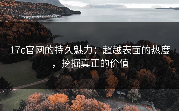17c官网的持久魅力：超越表面的热度，挖掘真正的价值