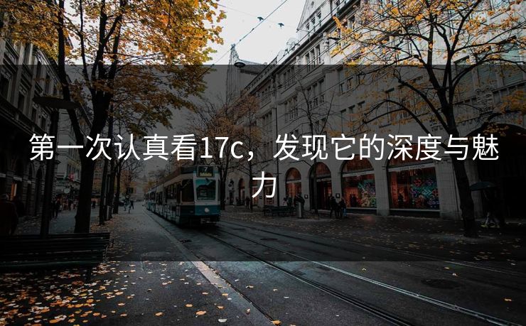 第一次认真看17c，发现它的深度与魅力