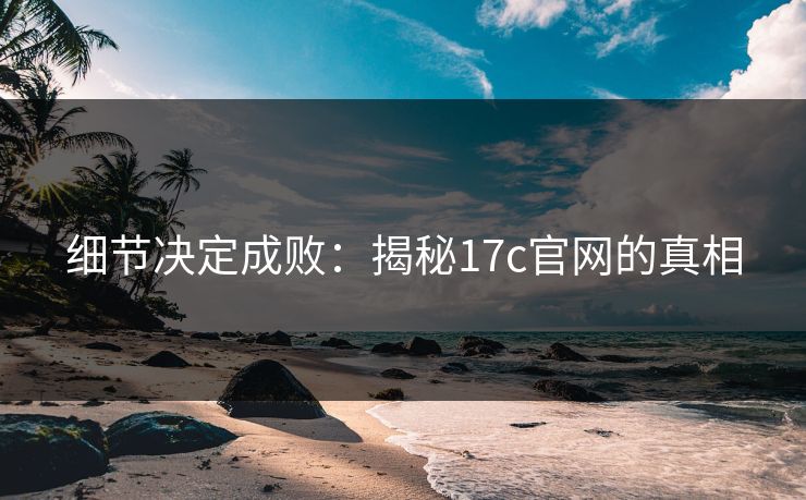 细节决定成败：揭秘17c官网的真相