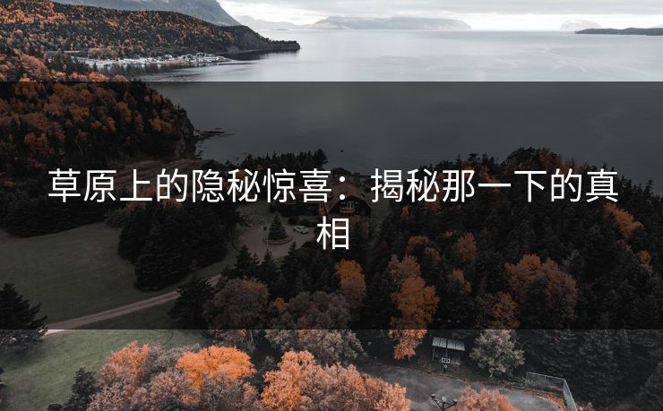 草原上的隐秘惊喜:揭秘那一下的真相 草原上的隐秘惊喜:揭秘那一下的真相