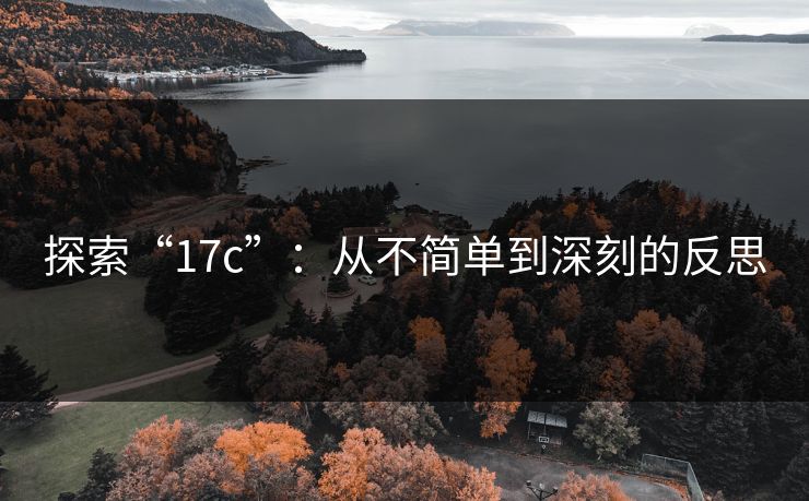 探索“17c”：从不简单到深刻的反思
