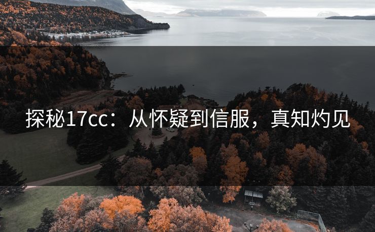 探秘17cc：从怀疑到信服，真知灼见