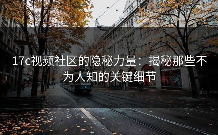 17c视频社区的隐秘力量：揭秘那些不为人知的关键细节