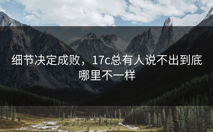 细节决定成败，17c总有人说不出到底哪里不一样