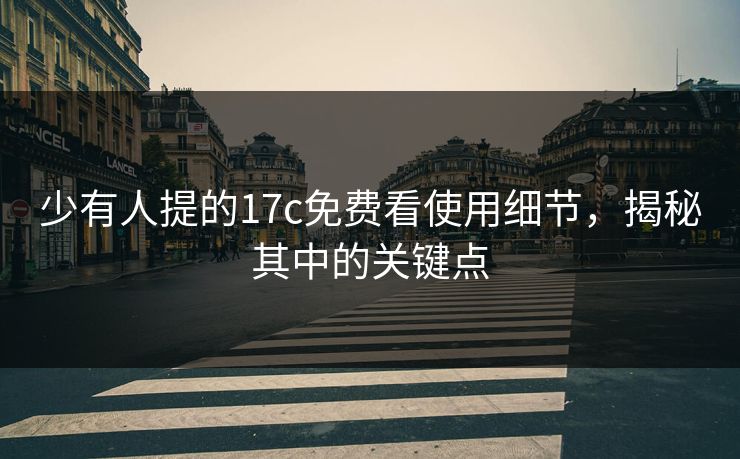 少有人提的17c免费看使用细节，揭秘其中的关键点
