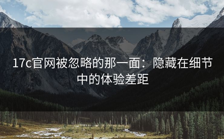 17c官网被忽略的那一面：隐藏在细节中的体验差距