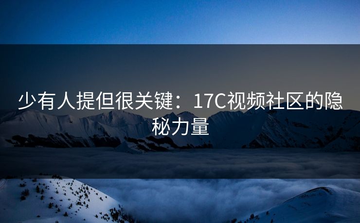 少有人提但很关键:17C视频社区的隐秘力量