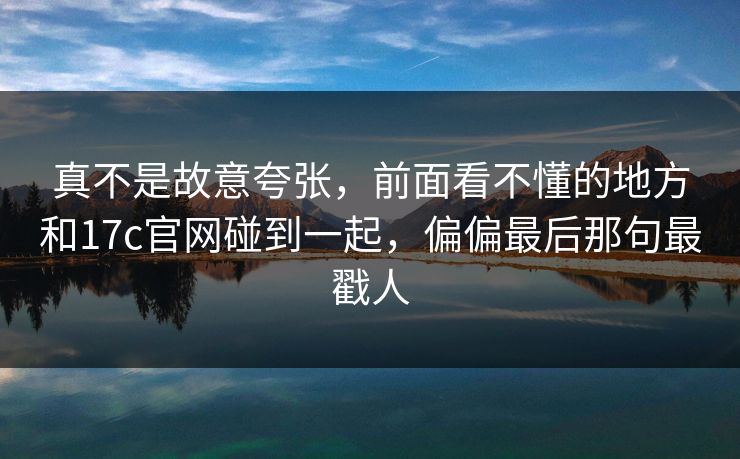 真不是故意夸张,前面看不懂的地方和17c官网碰到一起,偏偏最后那句最戳人
